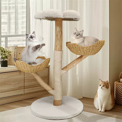 Animals & Pets