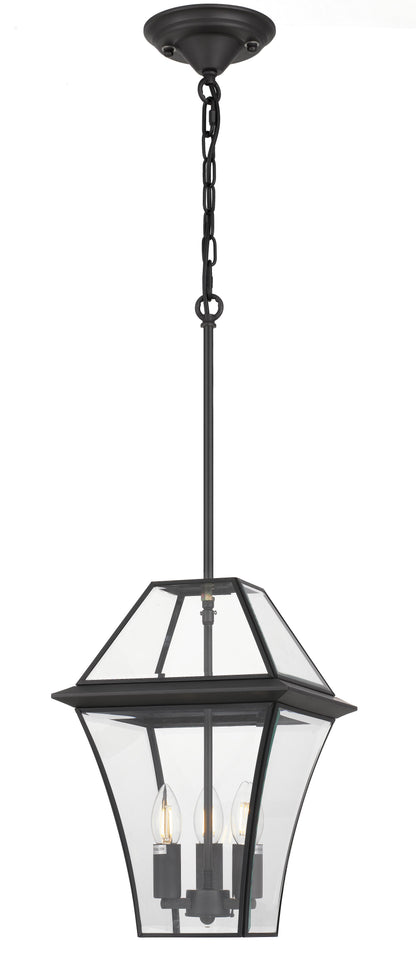 TFS 27 PENDANT 25wE14max L:275 H:400 - IP43 BLACK/CLEAR ROD:300mm + CHAIN:1000