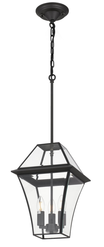 TFS 27 PENDANT 25wE14max L:275 H:400 - IP43 BLACK/CLEAR ROD:300mm + CHAIN:1000