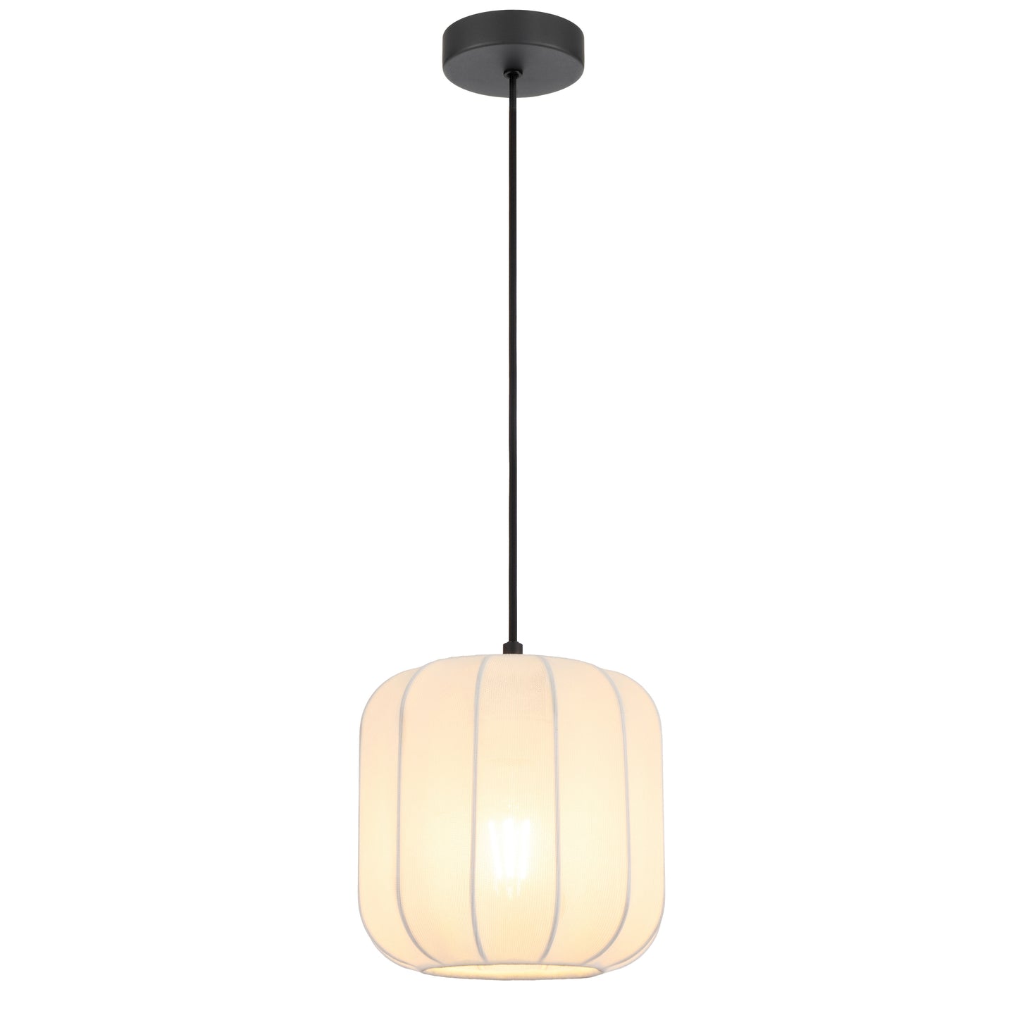 TFS 20 PENDANT 25wE27max D200 H210 cab 2m WHITE