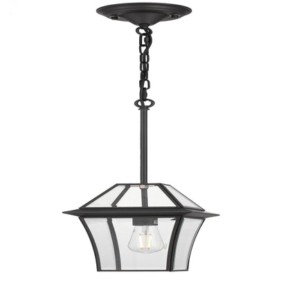 RYE PE20-BRS Brass & Clear Glass Pendant Light