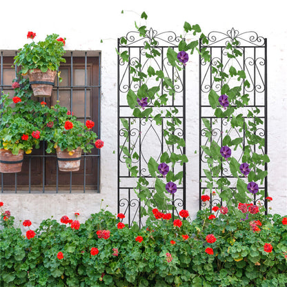 182cm metal garden trellis viewed from the front