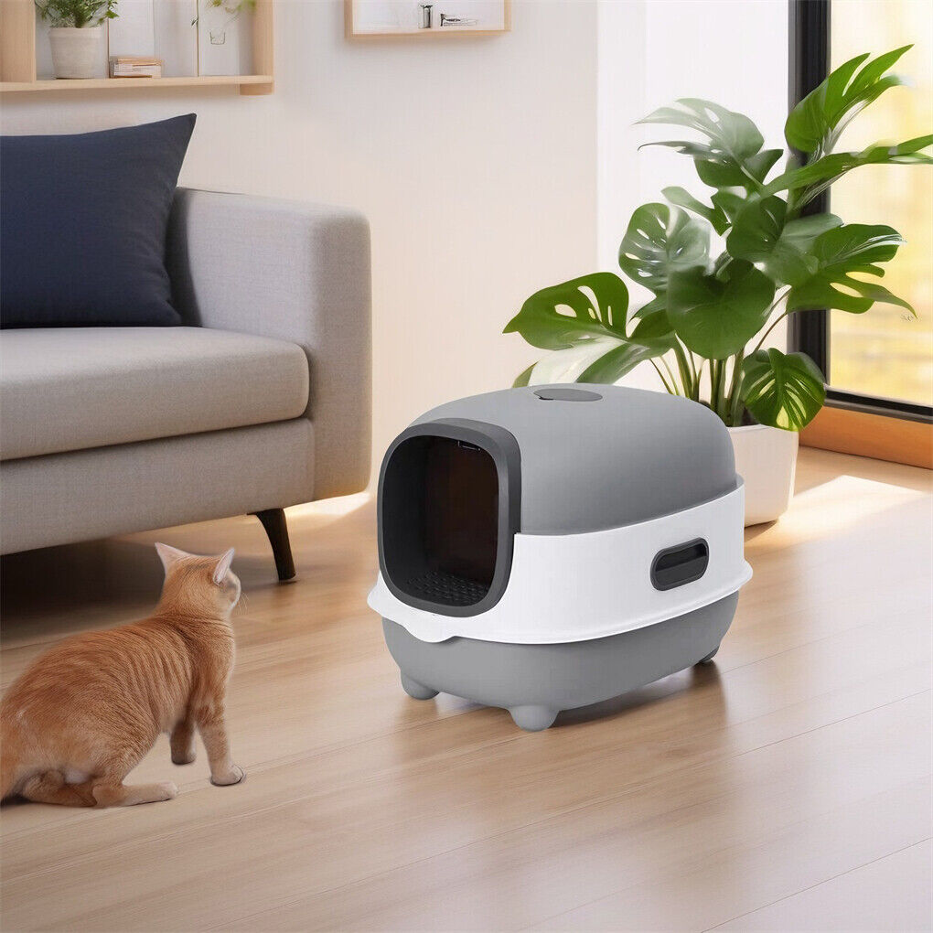 Buy P&P XXL Odorless & Enclosed Cat Litter Box â€“ Shop Online Australia