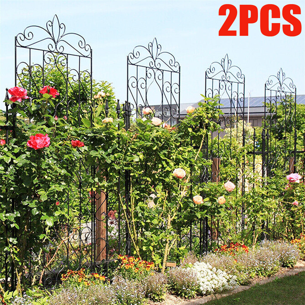 Two three-panel trellis fences supporting climbing plants