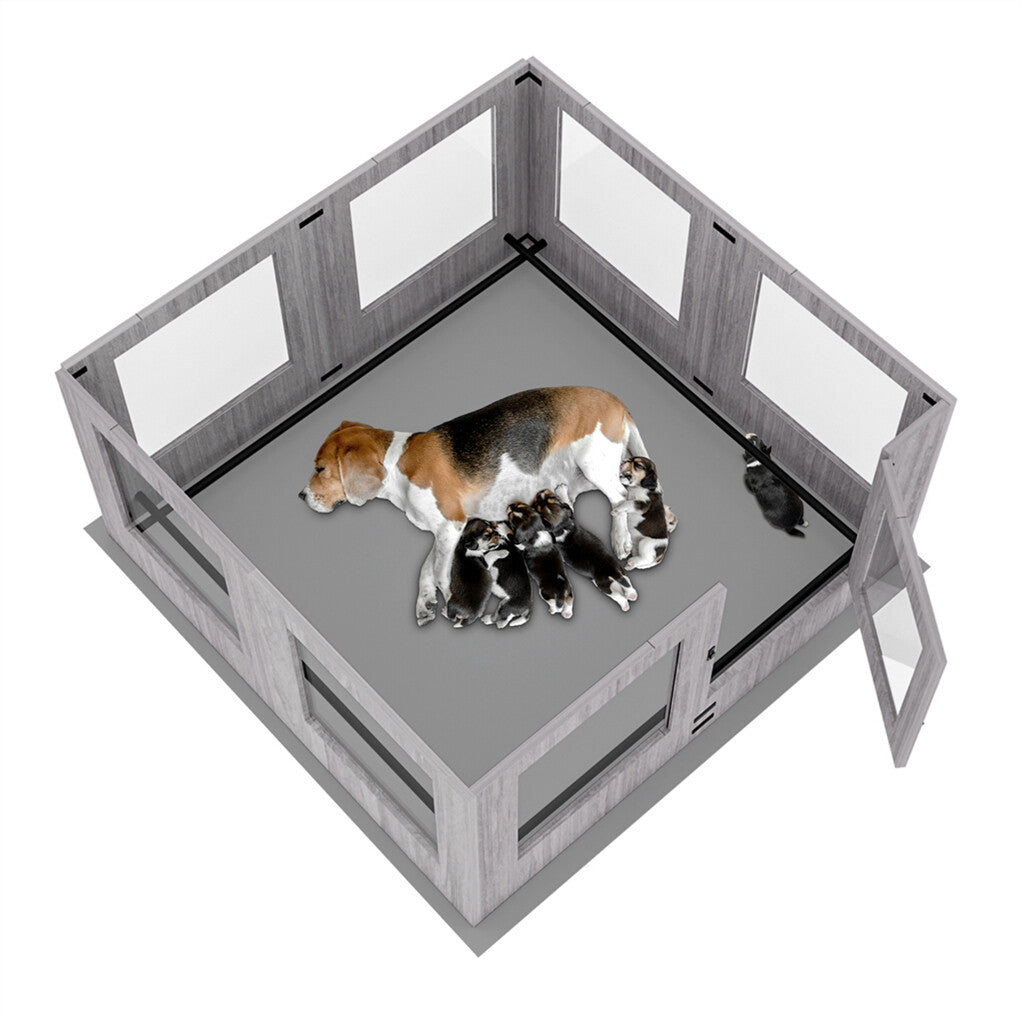 Large tempered glass dog whelping box with safety rails