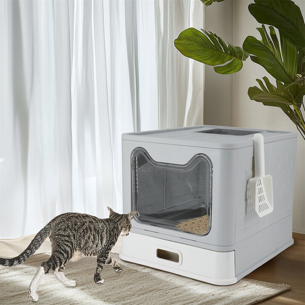 Grey cat litter box with front entry and top exit