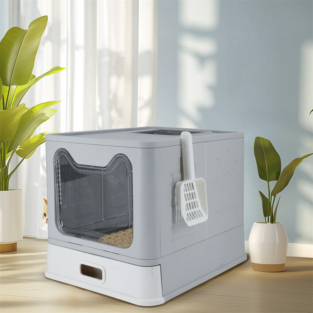 Enclosed litter box with grooved top lid