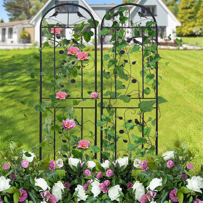 P&P 2Pack Large Garden Trellis Heavy Duty Patio Screen Deck Privacy Fence Wall Panel