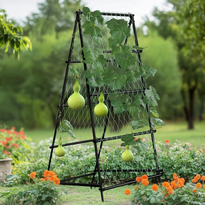 176cm garden trellis supporting climbing vegetables