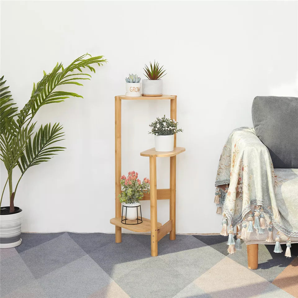 Bamboo corner stand arranged with bonsai plants