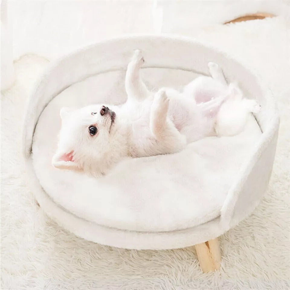 Elegant Dog Sofa Bed Australia