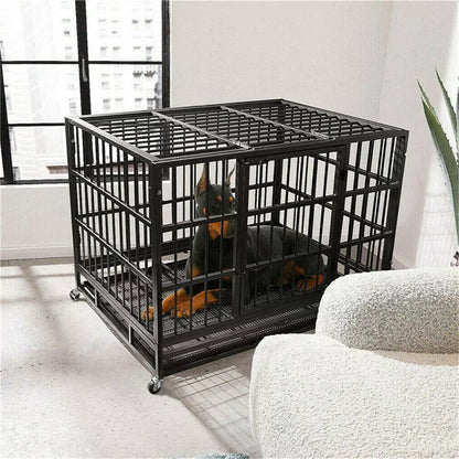 Durable dog cage with lock â€“ Shop now in Australia