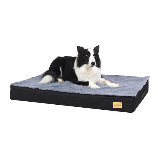 Large Orthopedic Memory Foam Dog Bed with Dual Layers(XL)