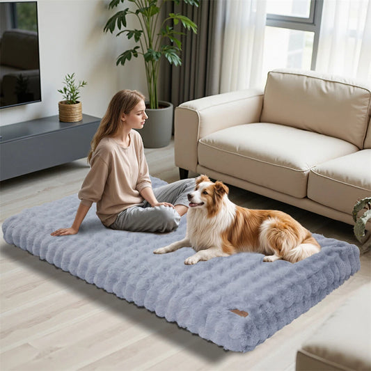 Comfortable Pet Bed with Removable Cover and Anti Skid Base(Medium)